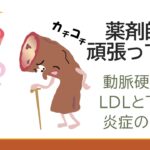 動脈硬化のメカニズムとリスク