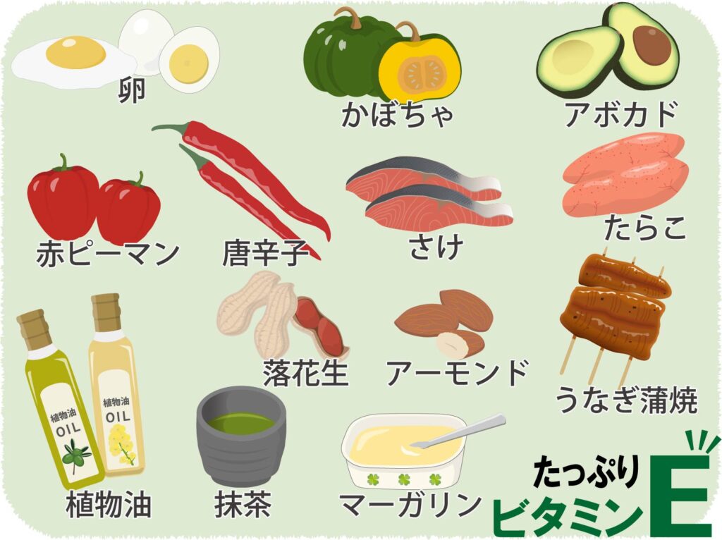 ビタミンEを多く含む食品の図